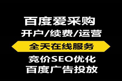 百度竞价排名案例分享：广告投放的技巧与误区